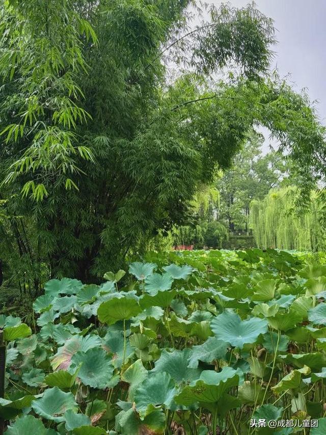 新都，被低估的好地方