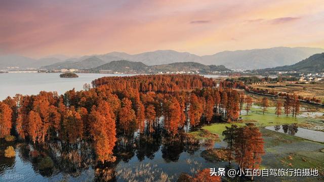 江浙沪 9 大赏秋地实测攻略！周末就能出发，红枫 / 银杏 / 水杉全吃透