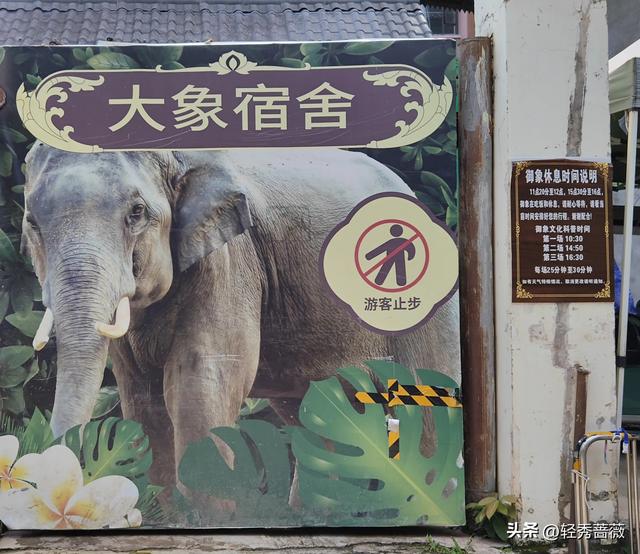 云南西双版纳，极具鲜明特色的旅游胜地。