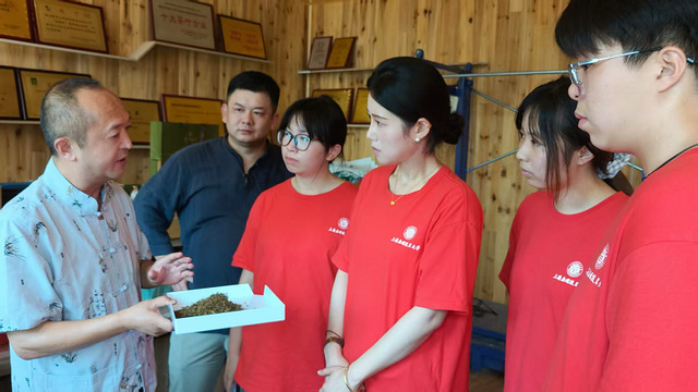 茶语悠悠连西部，雅安黄茶育劳心