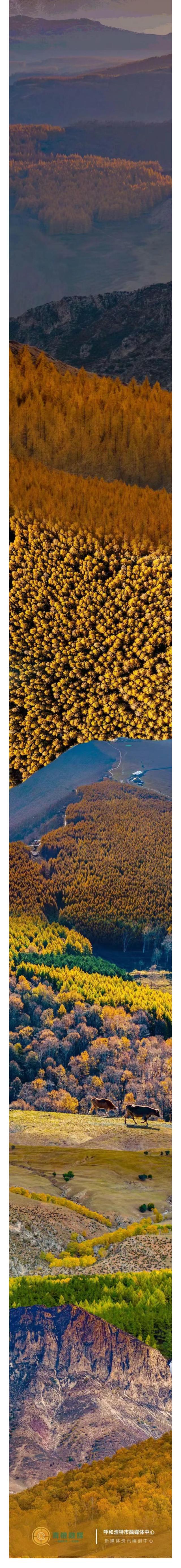 趁着周末爬山去！呼和浩特这些景色限时派送中→