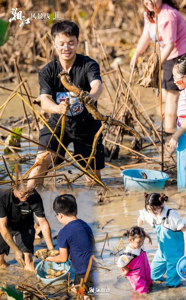 挖到长沙7个“野生宝藏地”！娃疯玩，我躺平！