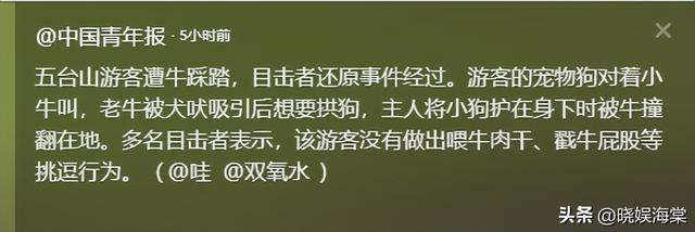 五台山游客被牛顶后：队友爆料，故意让狗挑逗小牛，当事人发声