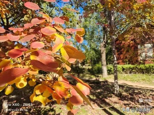 青岛即墨马山寻趣：一座地质公园的秋日私语｜申艳娟