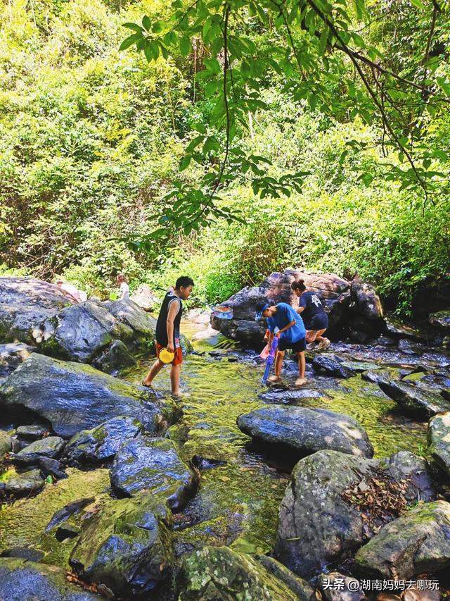 告别36℃热浪！长沙“小荔波”藏着28℃清凉，带娃溯溪玩不停！