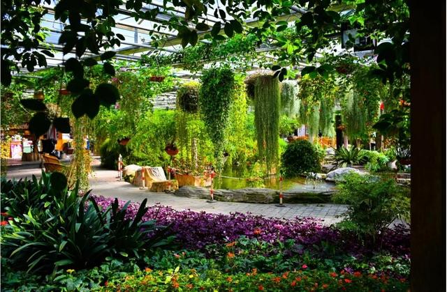 厦门植物园百花厅，景区主要的室内花卉展区，始建于上世纪80年代