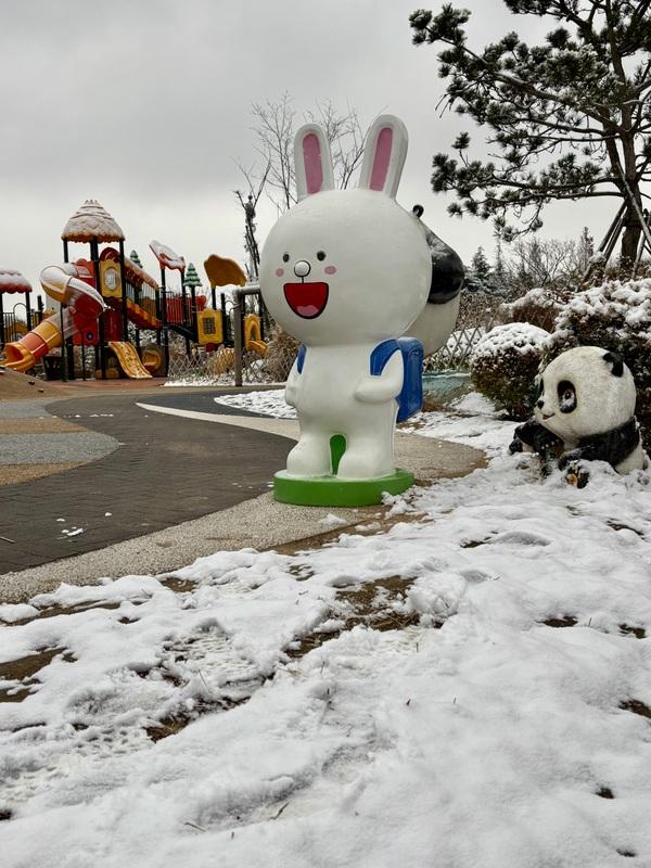 瑞雪飘然而至中国海滨城市青岛