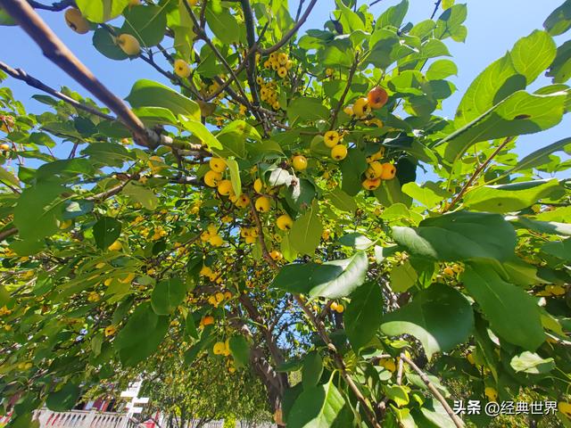 瞻仰周邓纪念馆