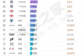 国内销量被吉利反超！作死的大众汽车，不值得同情！图片