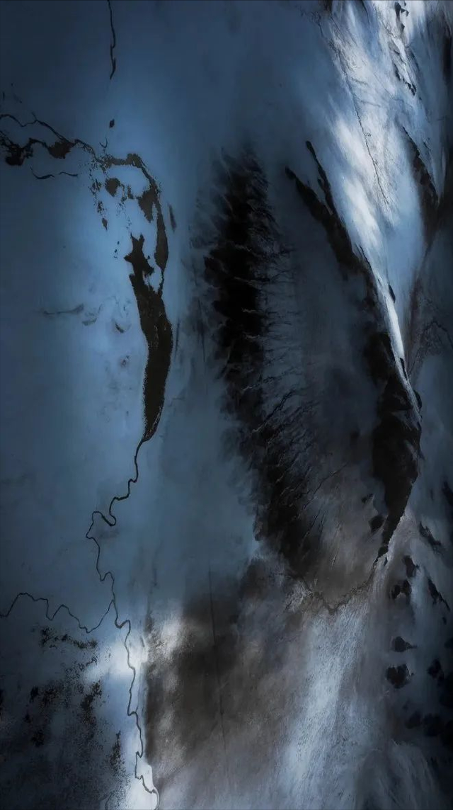 极地那曲不仅美在雪山湖泊，更美在每一棵生机盎然的树