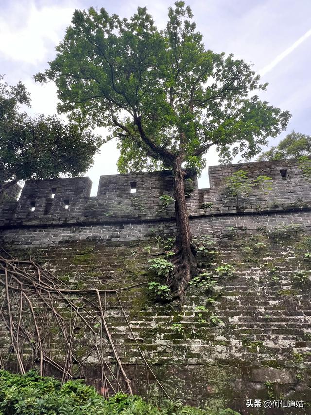 越秀公园，人心若镇海，立马上山巅