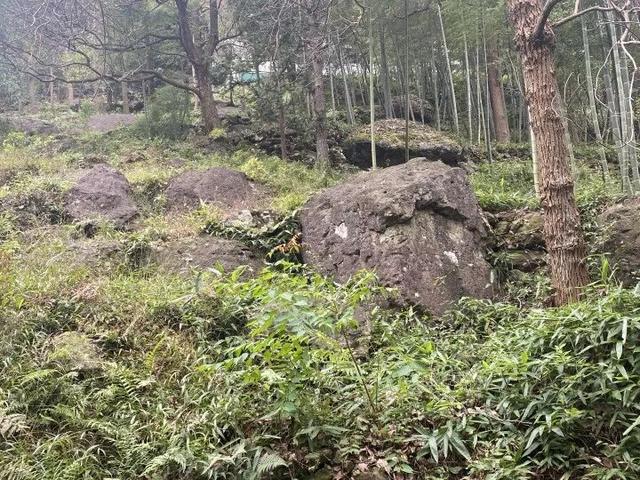 突然火了！有杭州人说，“我家四五代人都住在这里，根本就不知道......”