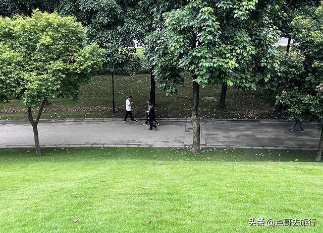 成都公园难得一见的旷野之景，画面超级唯美，地铁公交到达！