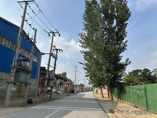 冠县乡韵·辛集镇丁刘八寨