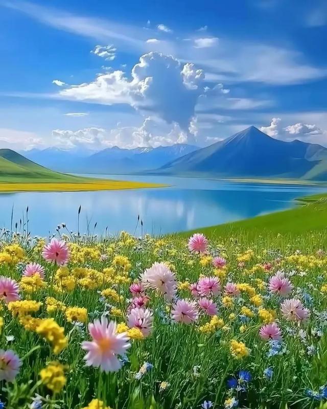 #美丽风景 #蓝天白云绿草地 #自然风光