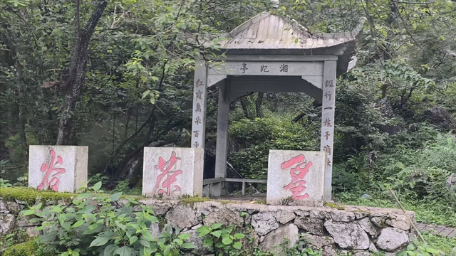舜帝三临的"南方植物王国"：藏着长征记忆与千年茶香的"大山里"