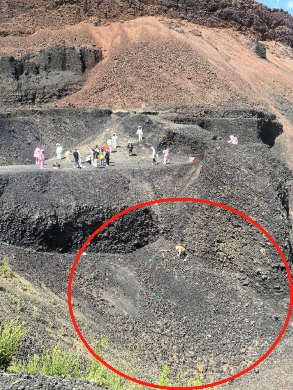 68岁保洁大爷遭游客群殴：打人者身份曝光，当天已回河北 网友炸锅