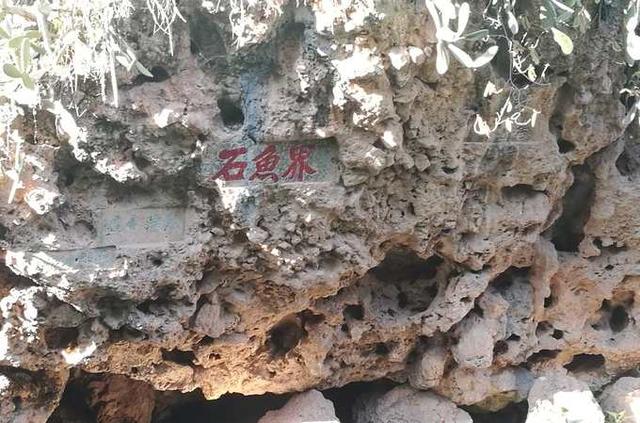 带着孙女去旅行（172）两游云南抚仙湖