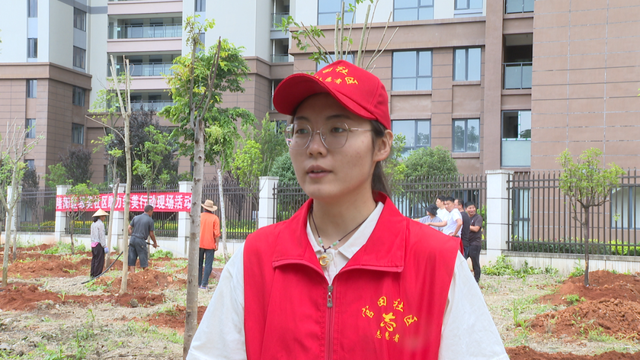 隆阳区开展绿美行动 植树添绿绘就生态美景