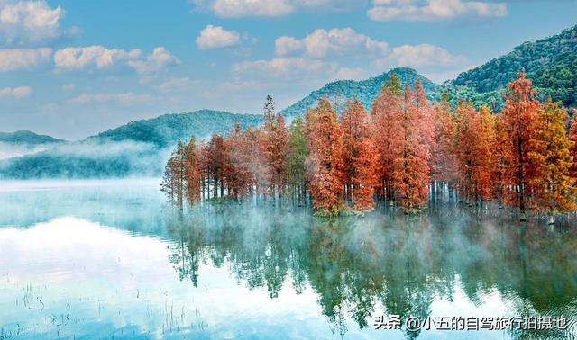 江浙沪秋季徒步攻略｜6 条绝美秋叶路线，新手进阶全覆盖