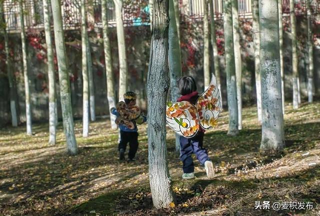 【多彩“双节” 畅游麦积】快来打卡！麦积区马跑泉公园秋色上线，一键解锁国庆中秋出游宝藏地