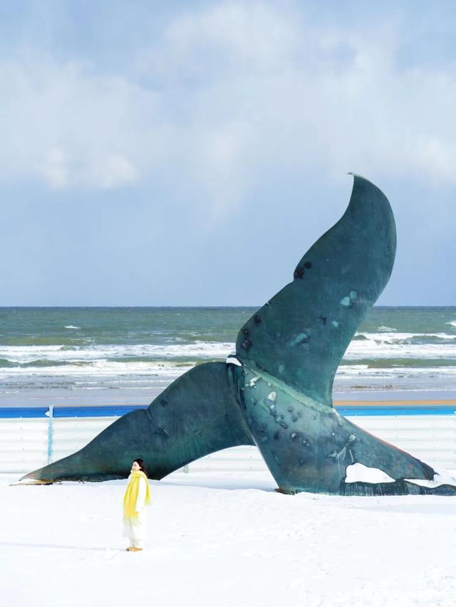 初雪来了！烟台“冰雪世界”美出新高度