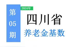 四川公布2024年养老金计发基数：标准是多少，算算你能补多少钱？图片