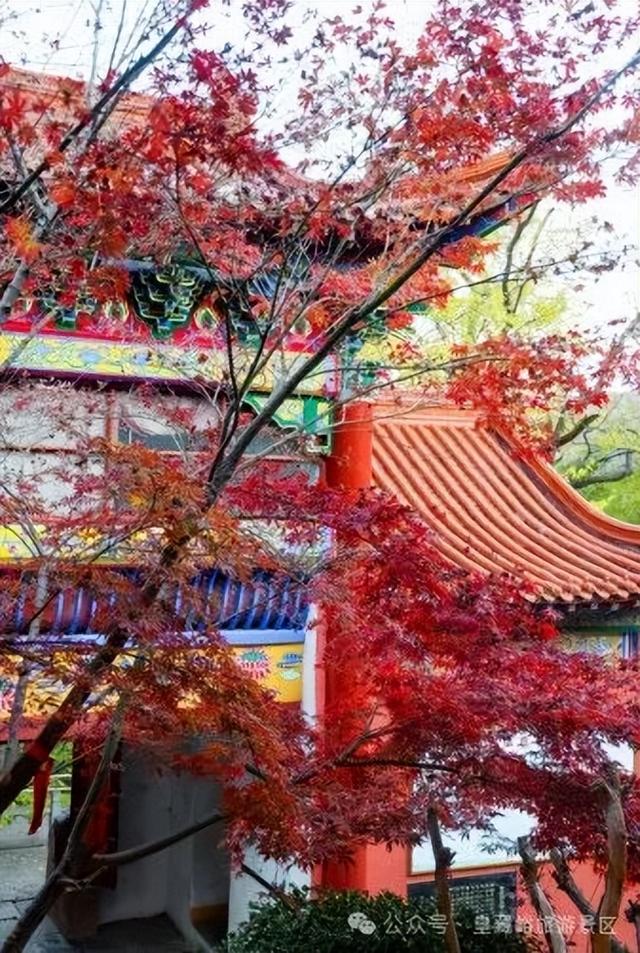 不止有红叶！皇藏峪NPC互动解锁新玩法