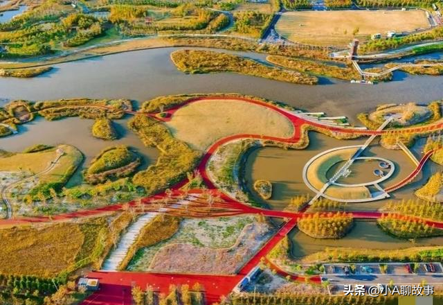 我是上海人，刚从南汇回来，这5个疑问在心里绕了好久。