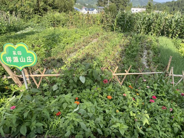 悦·遵义丨遵义这里，四川、重庆车辆川流不息，太热闹！