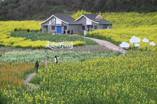 四川内江：“赏花经济”绽放文旅消费活力