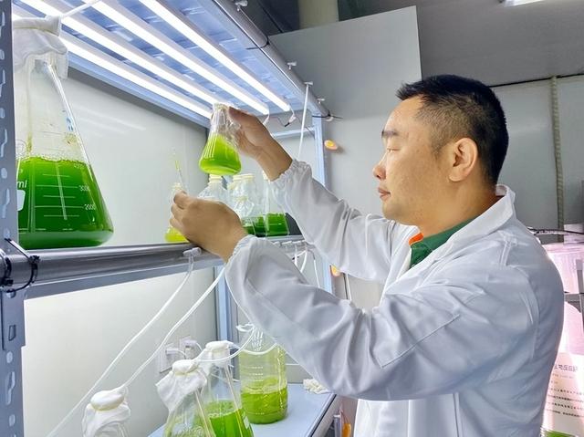 赐百年及高志刚博士荣获中国商业联合会科学技术奖一等奖！