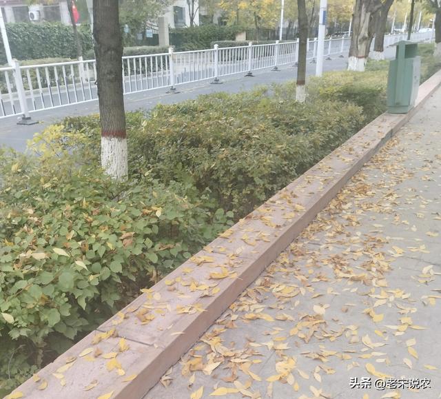 国庆假期天气，降温10度！暴雨(雪)中心已定，这些地区假日要泡汤