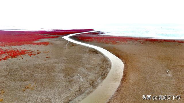分享一个免费的红海滩，景色一点不差盘锦红海滩，