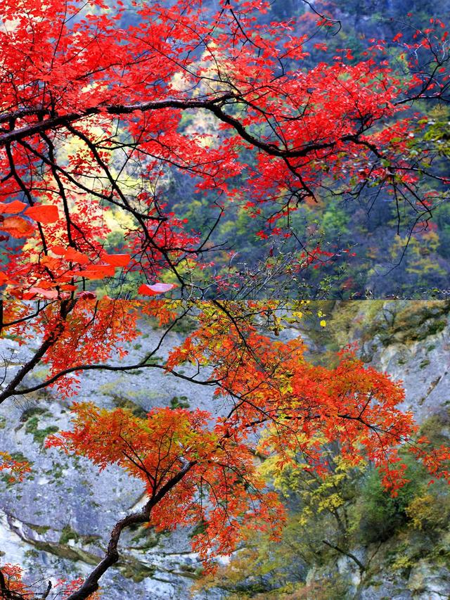 出片率100%!西安爬山赏秋打卡地推荐!速约→