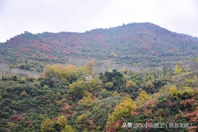 汉中出发沿嘉陵江跨省自驾，把秦巴深秋的美景装进车窗～图片