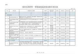 郑州公布2025年首批面向民间资本推介项目清单图片