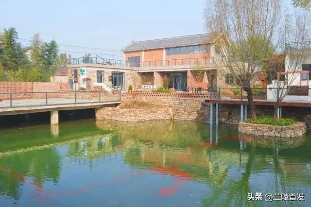 好客山东好品山东｜快来→大仲村镇青年小店邀您来打卡了！