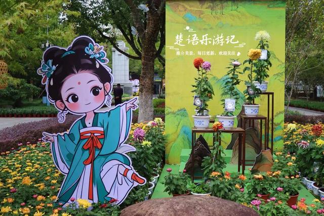 宁波镇海推出新的菊花展，5个赏菊地连成一条线，堪称史上最美