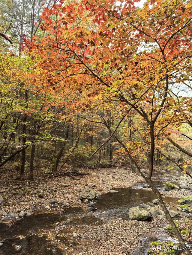 2025辽宁赏秋之旅日记(4)——游览关门山和本溪水洞