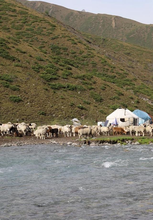 新疆独库公路之旅