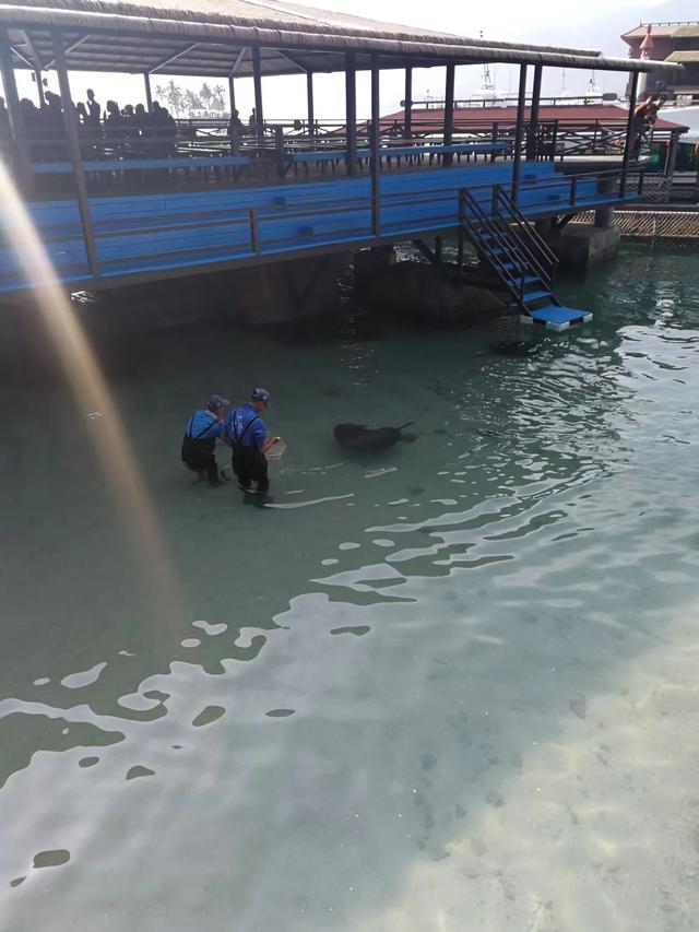 带着孙女去旅行(151)陵水分界洲岛游