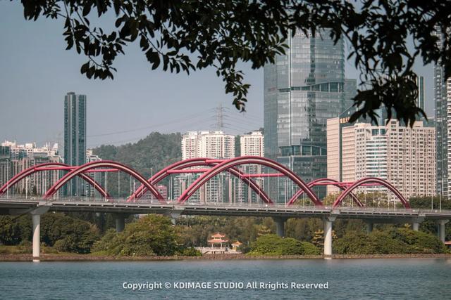 深圳秋日限定：三处落羽杉秘境，邂逅南国绚烂！