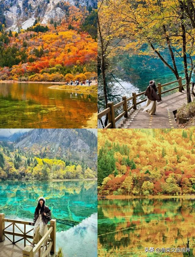 川西秋韵长卷：从九寨秘境到古城烟火