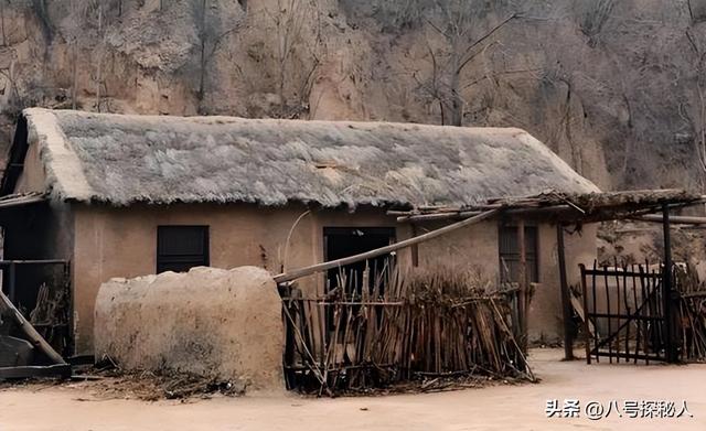 一年狂赚786亿	，吞并18个村庄，村长身家165亿，他们是干啥的？