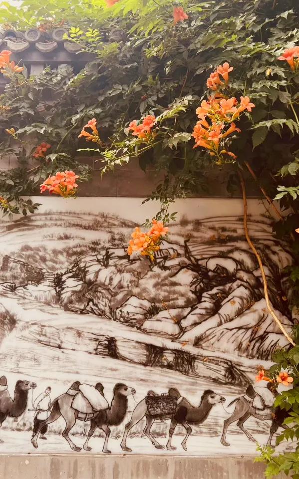 “花漾”漫染千年古道!模式口以繁花织就京西生态人文画卷