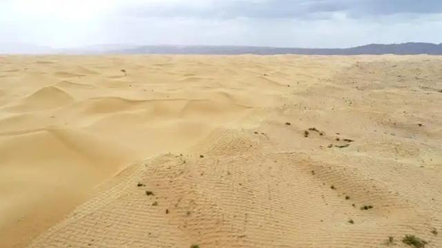 煤老板1300万迪拜玩7天，当地富豪：你再有钱，在我们这也没地位