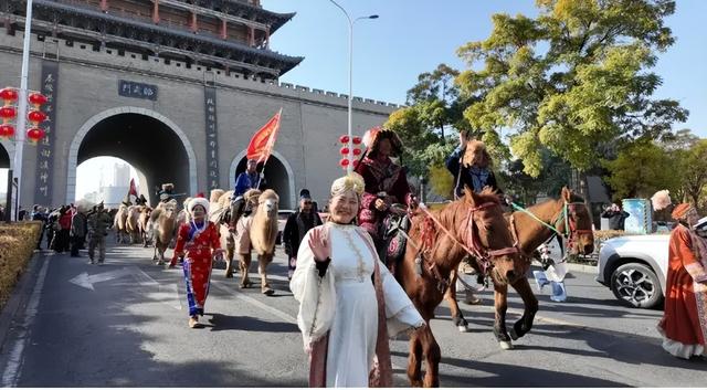 高接远迎丝路东行的33个驼峰，洛阳民间的自发行动