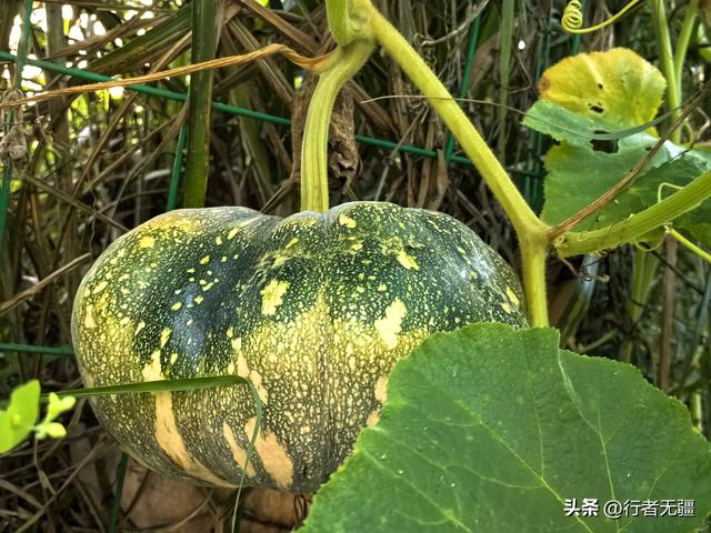 贵州山村清晨：大自然的诗意长卷