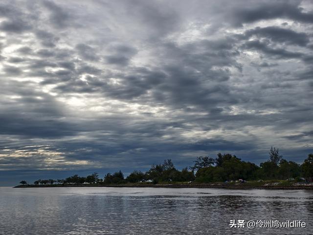 马来西亚(33)砂拉越州⑦美里市加拿大山、海滨公园等
